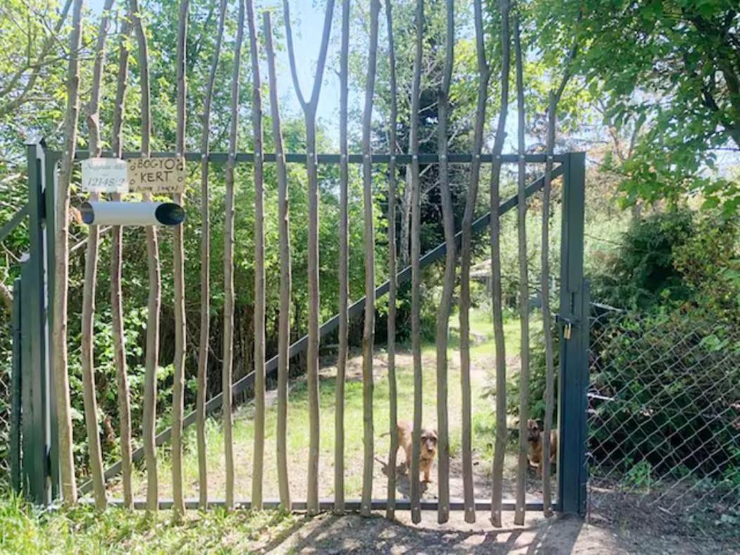 Apartmán Bogyo Kert Nagymaros Exteriér fotografie